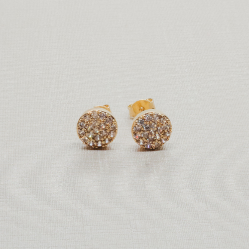 Brinco Círculo Cheio Cravejado